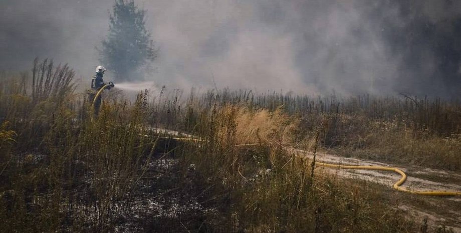 пожежа, дснс, рятувальники, ліс, поле, вогонь