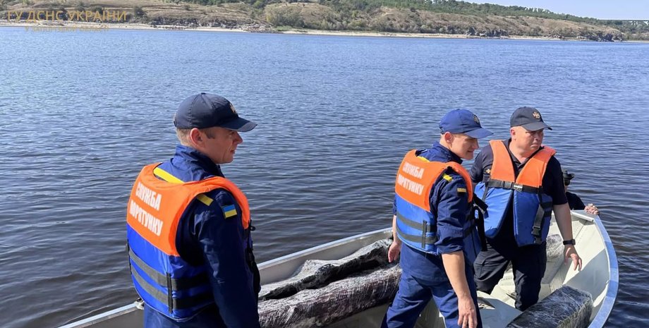 Инцидент на воде, ГСЧС утонувшие, ГСЧС водоемы, опасность на водоемах, ГСЧС количество утонувших, гибель на воде