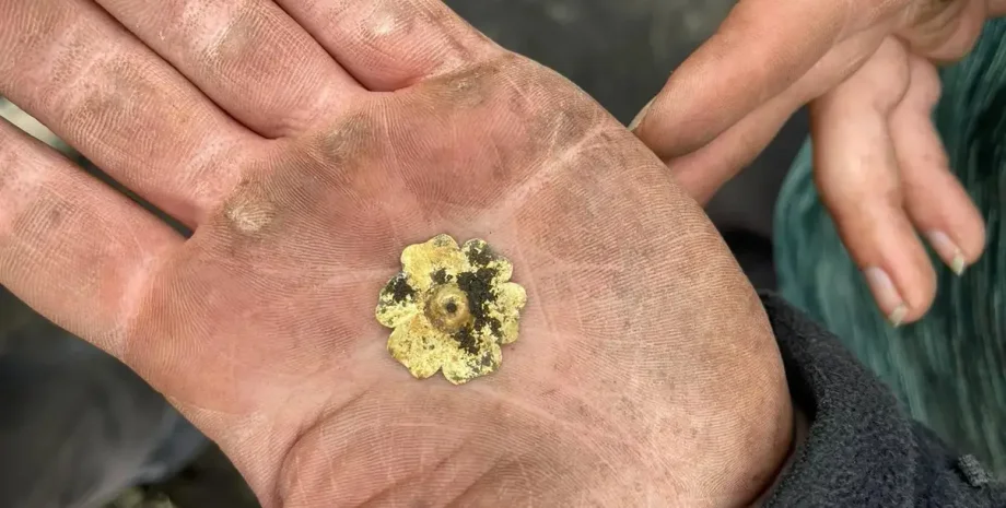 Оклендський замок, Окленд, будинок, дім, Тауер, Хазелріг, Англійська громадянська війна, археологи, археологія, парламент, замок, стіни, знахідка, золото, квітка