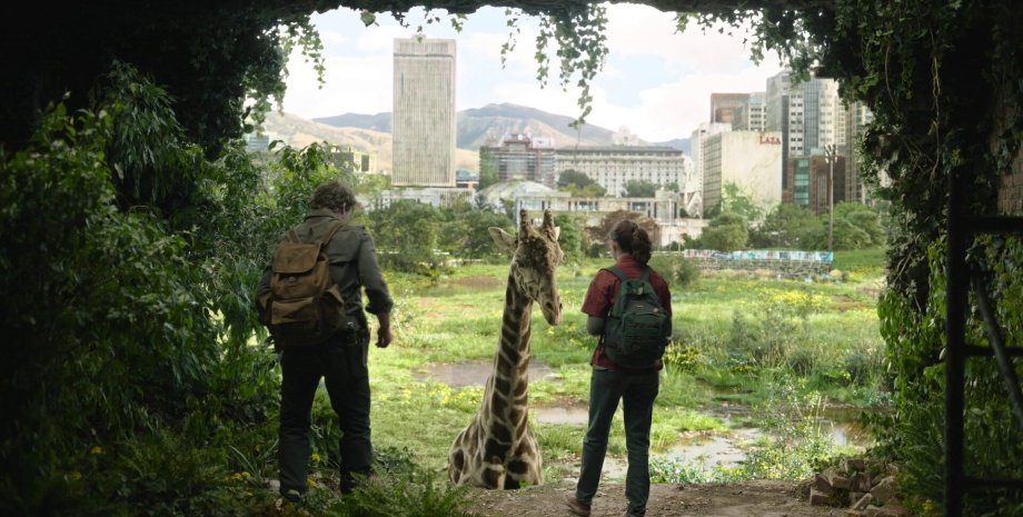 Кадр из "Одни из нас" - сцена общения с жирафами