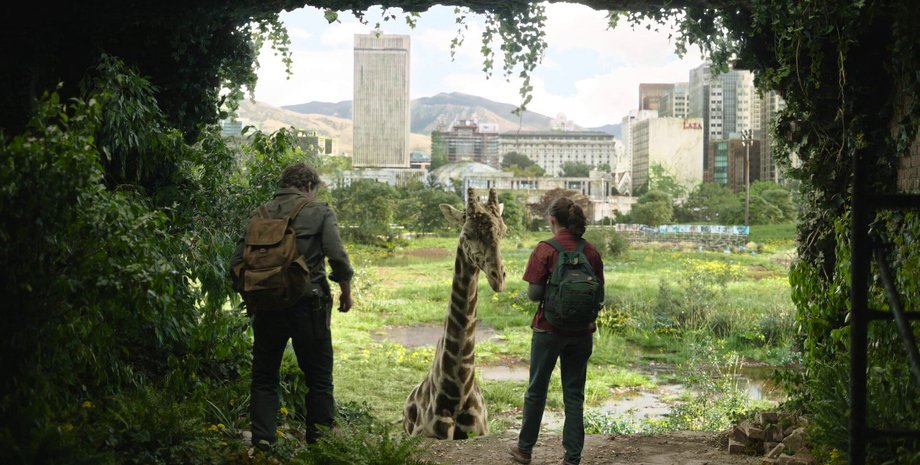 Кадр из "Одни из нас" - сцена общения с жирафами