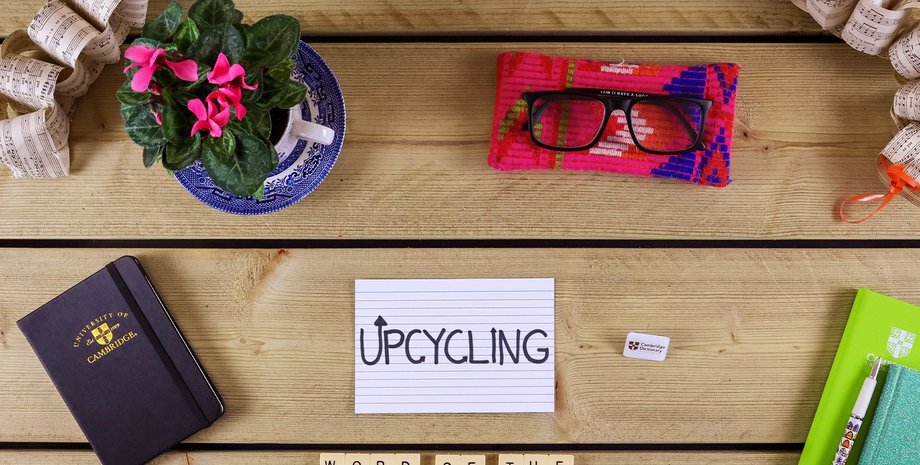 Фото: Cambridge Dictionary