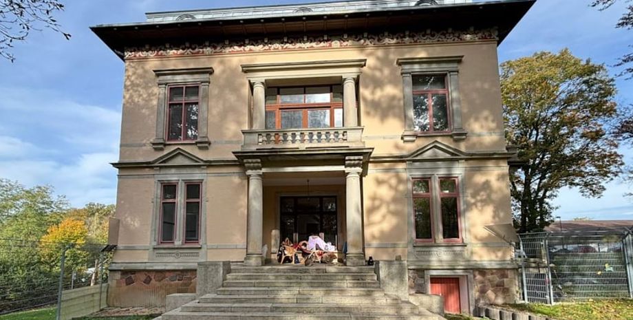 Особняк в Германии оккупировали коты, что они там делают и как туда попали, курьезные истории из жизни