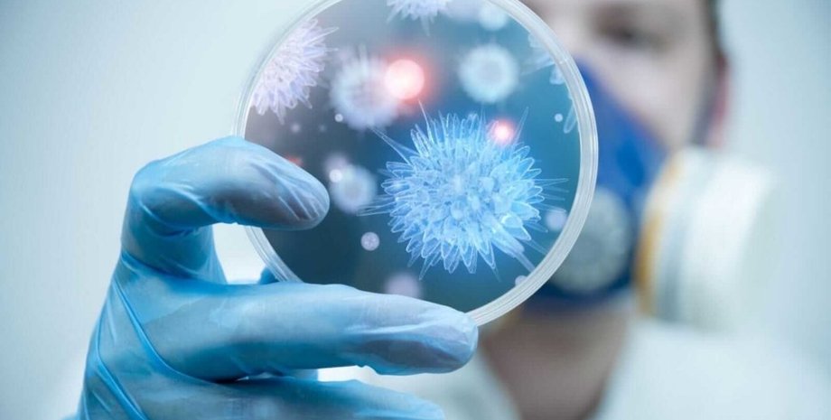 Фото: Народна правда