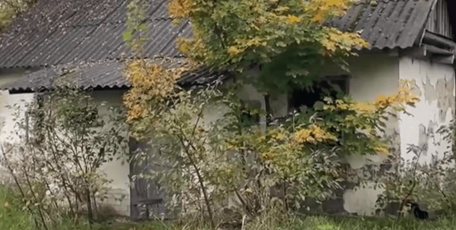 Хата в селі, будинок