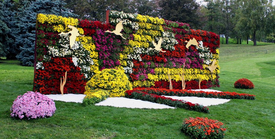 Фото: Киев сейчас