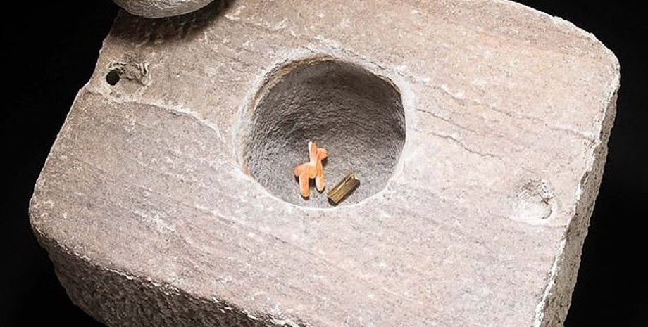 Фото: Libre de Bruxelles