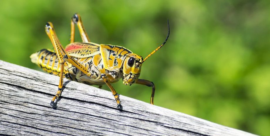 Фото: Моя планета