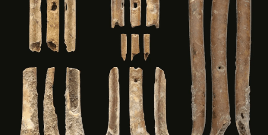 кости, костяные флейты, охотники, хищники, инструменты, музыка, древние люди, земледелие, собирательство, кости птиц, музыка