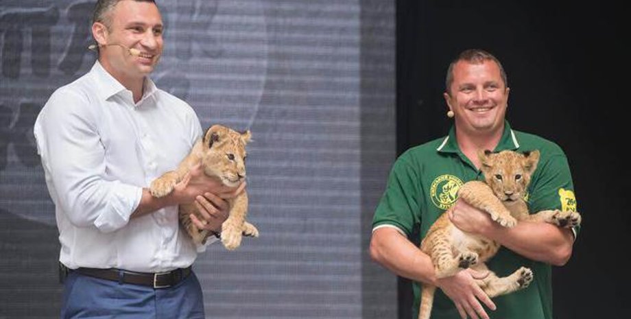 В Киеве появится зоопарк без клеток / Фото: пресс-служба КГГА