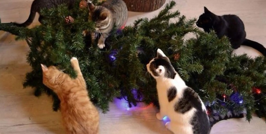 кішки перекинули ялинку, новорічна ялинка і кішки