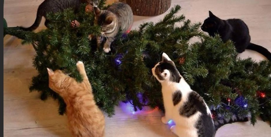 кошки опрокинули елку, новогодняя елка и кошки