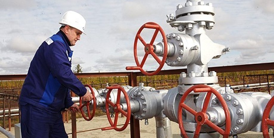 Наталия Гузенко, Фокус