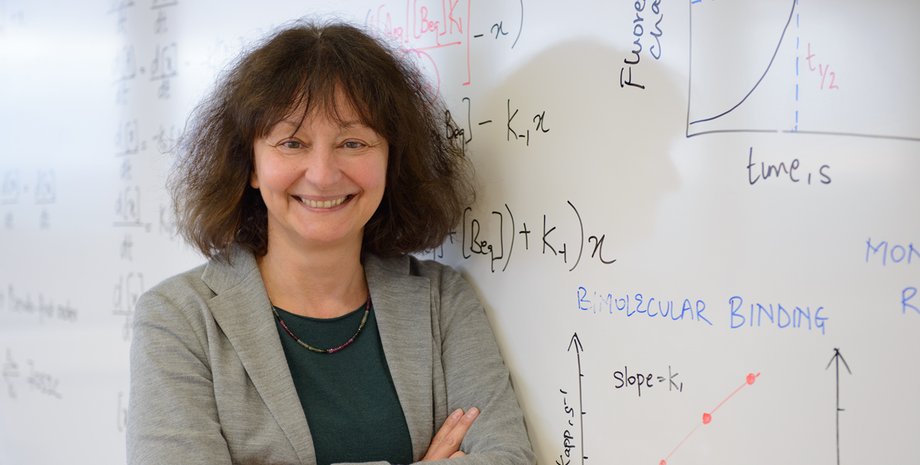 Фото: Irene Böttcher-Gajewski / Max Planck Institute for Biophysical Chemistry