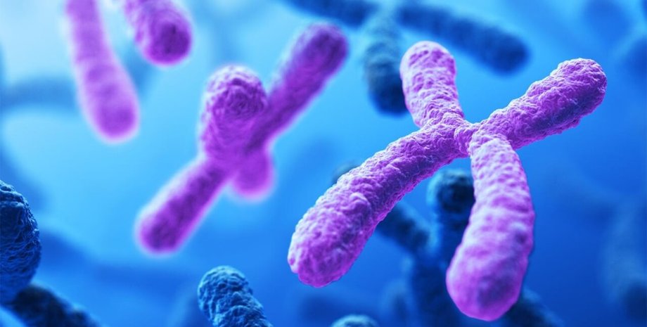 Иллюстрация: The Human Origin Project