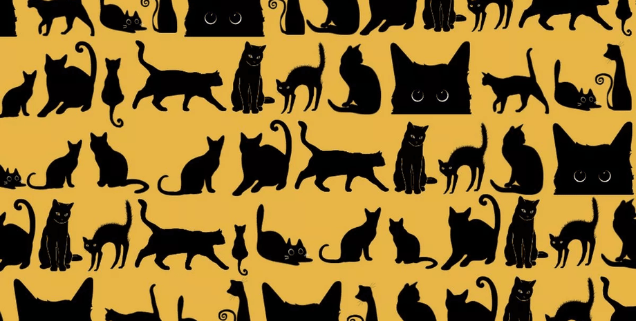 Визуальная головоломка, силуэты, проверка зрения, проверка внимательности, орлиное зрение, Хэллоуин, орлиное зрение