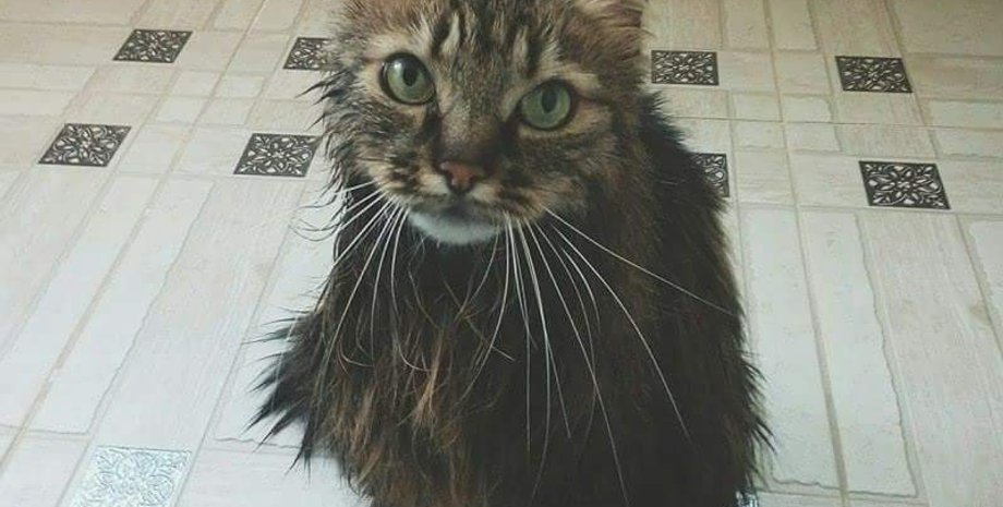 Фото: Константин Николаев