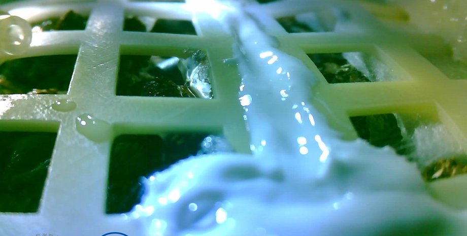 Фото: twitter.com/PDChina