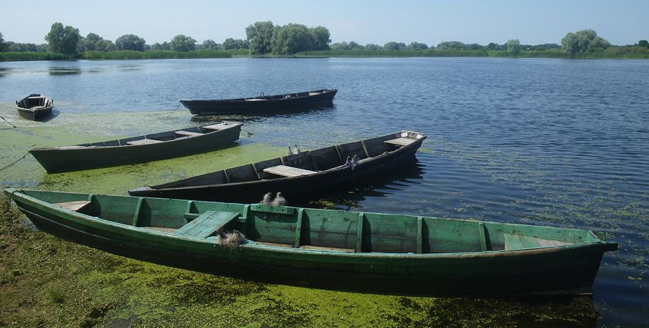 Фото: из личных архивов