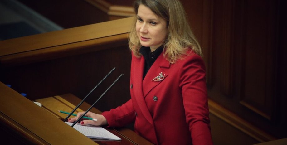 Ольга Совгиря, Конституционном Суде,