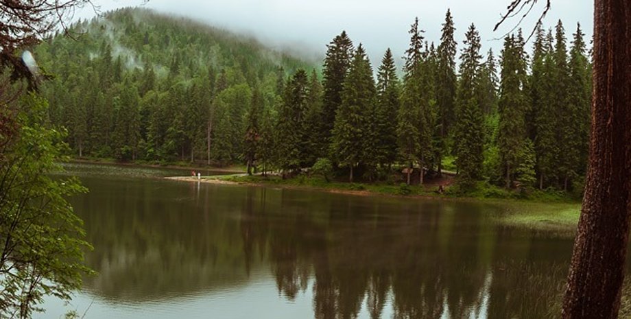 Озеро Синевир / Фото: guide.karpaty.ua