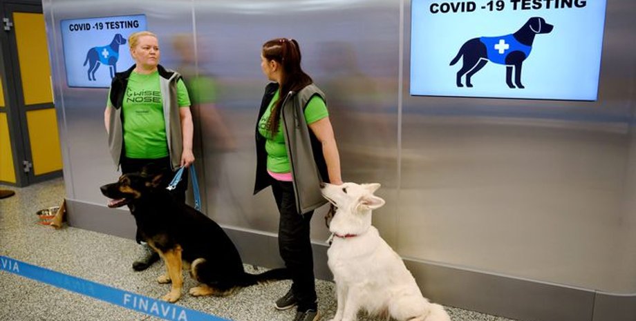 Фото: Postimees.ee