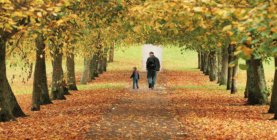 Фото: Getty Images