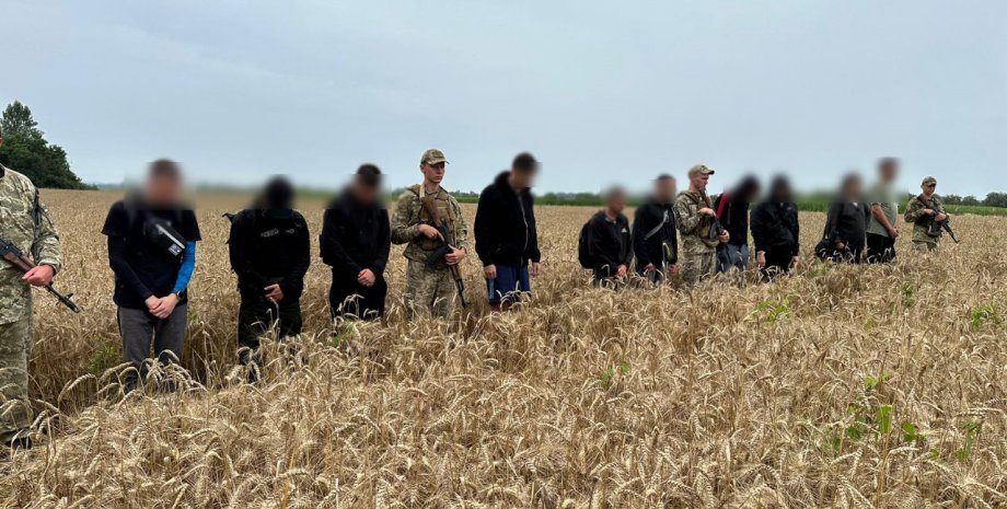 Прикордонники затримали десятьох ухилянтів у пшеничному полі