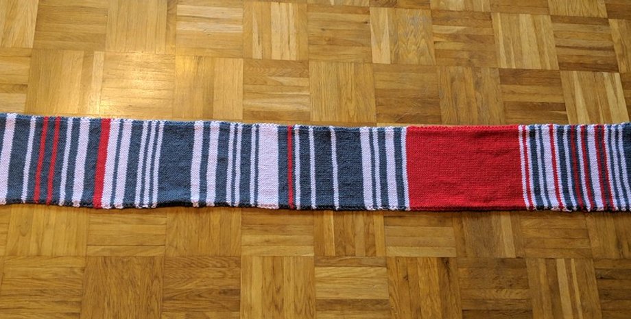 Тот самый шарф / Фото: twitter.com/sara__webe