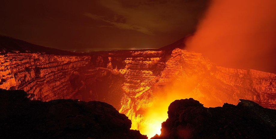 Фото: animalsmix.com