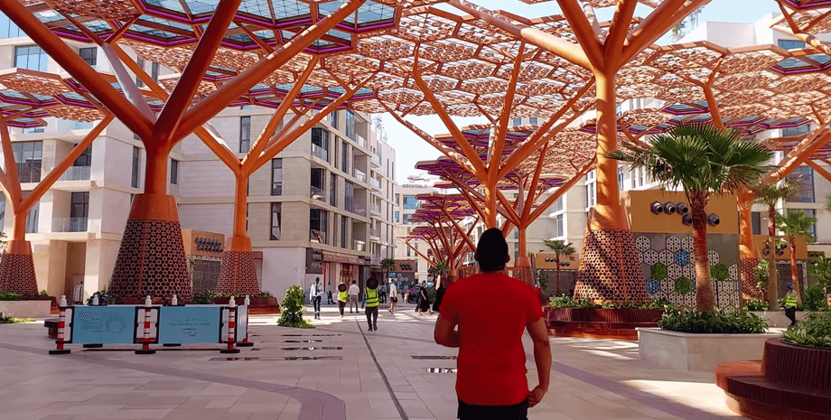 Искусственный лес в Катаре