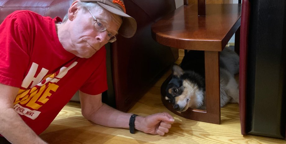 Американский писатель Стивен Кинг