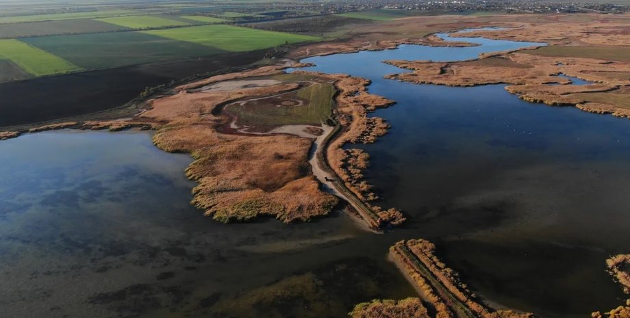 Фото: Максим Яковлев/Guardian