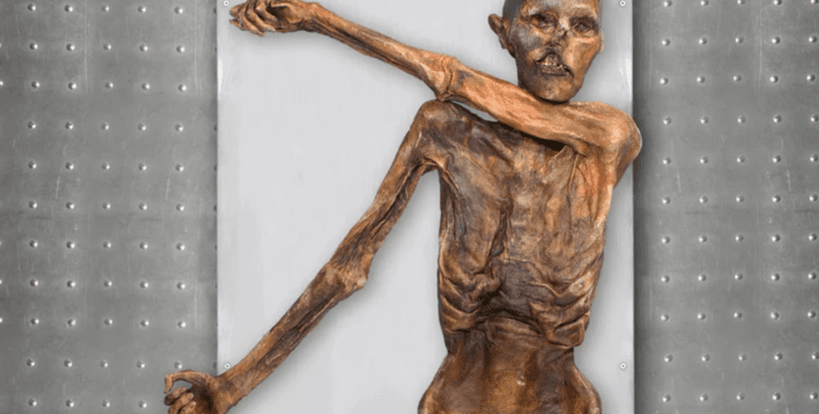 Этци, мумия, Альпы, генетический анализ, исследование, волосы, кожа, эпоха, медный век, цвет, лицо, предки, пастухи, фермеры, генетический материал, геном, загрязнение