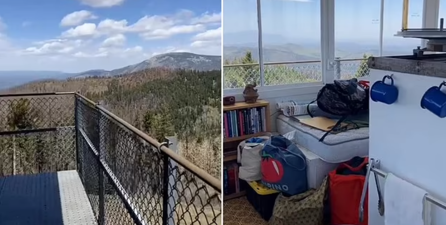 Робота мрії, жінка поселилась у пожежній будці високо в горах, життя у лісі, Кортні Макінтош, США, крихітний будинок, фото