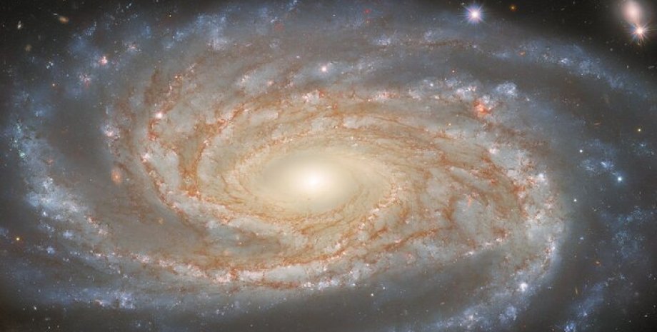 Галактика NGC 7038