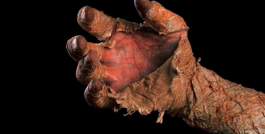 мумия, мумификация, тело мумифицировалось