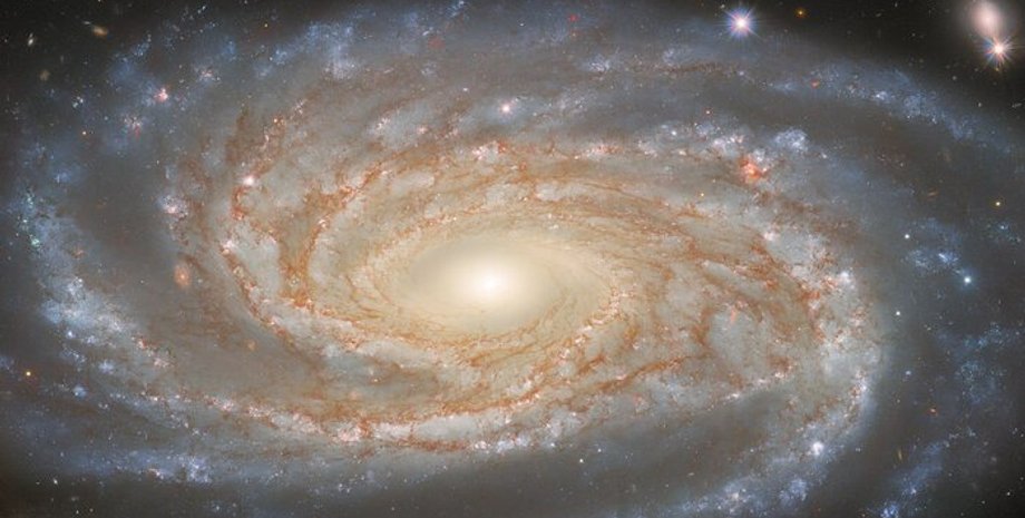 Галактика NGC 7038