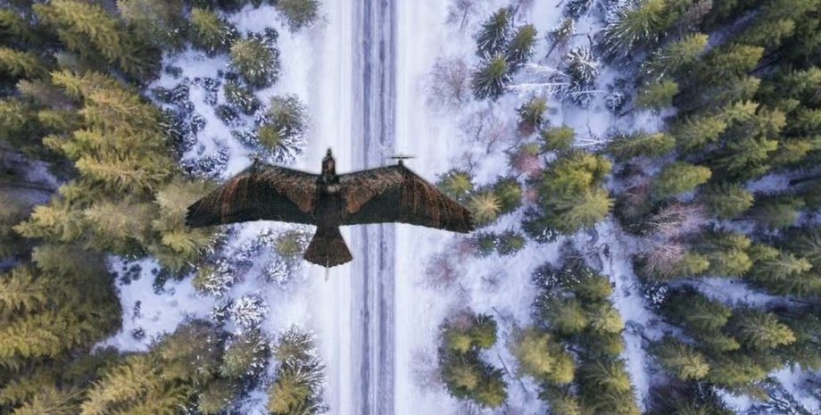 Evolution Eagle, дрон, орел, бпла