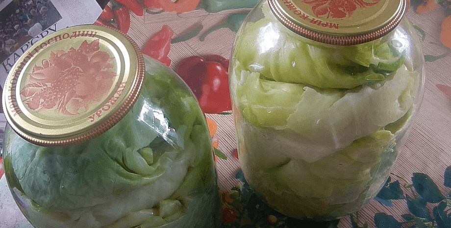 листья капусты, маринованные листья капусты