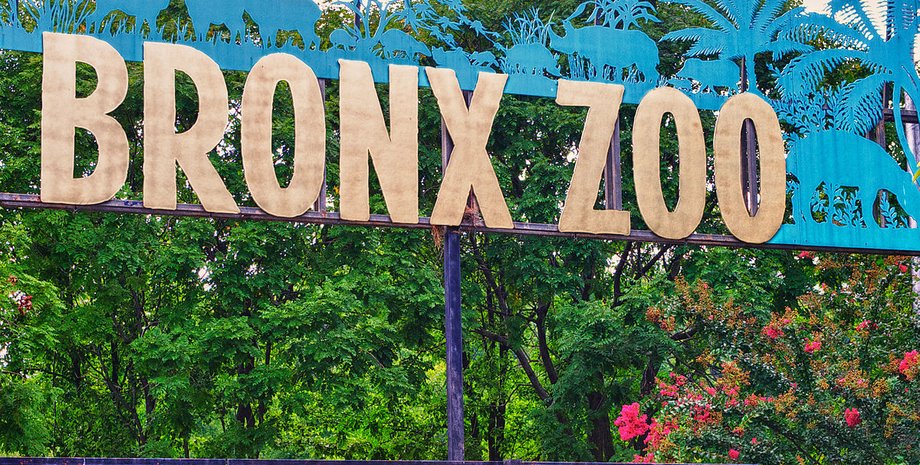 Фото: Chris Costello / Wikipedia