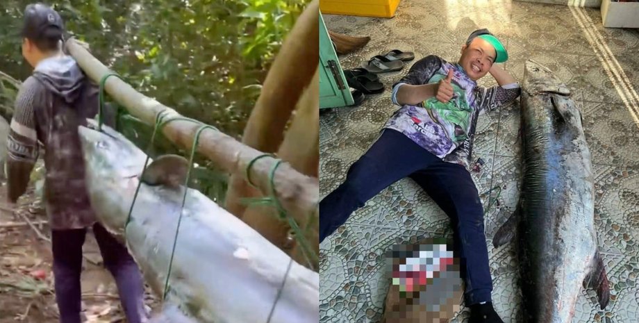 Гігантська макрель завдовжки близько 1,7 метра, спіймана у В'єтнамі