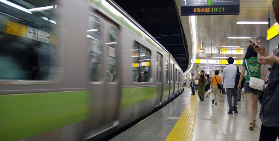 Змія у вагоні, Японія, курйози, пасажири, рептилія, тварини, курйозні інциденти, туризм, приколи