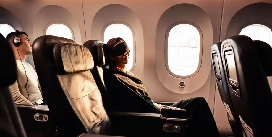 Пасажирці заплели волосся у салоні літака, хто це зробив, курйозний інцидент, смішні випадки, приколи, туризм