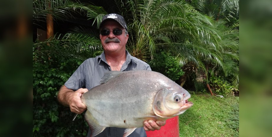 случаи нападения крокодилов на людей, крокодил съел человека, крокодил тащит человека, большая рыба, крупный улов, рыбалка в австралии