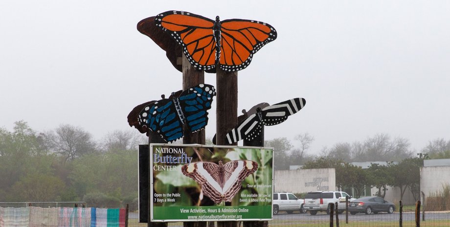 QAnon, Дональд Трамп, теории заговора, бабочки, Центр бабочек, Техас