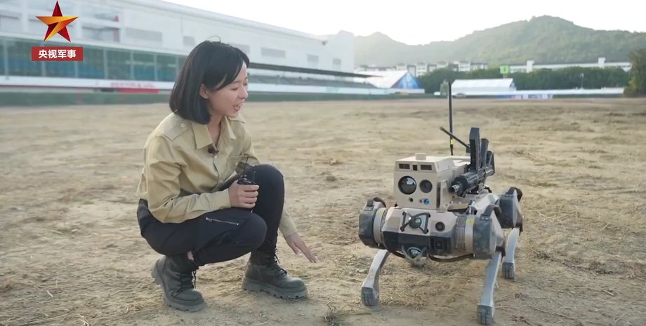 В Китае показали робота-волка