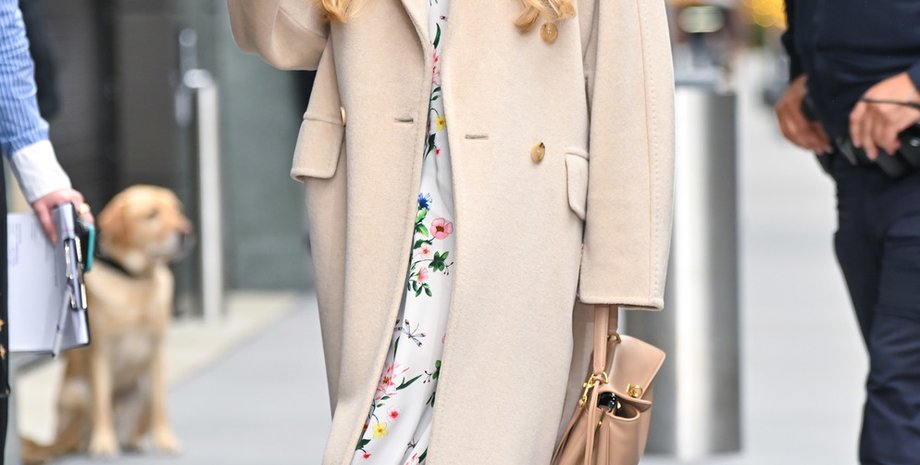 Ліндсі Лохан, охоронець