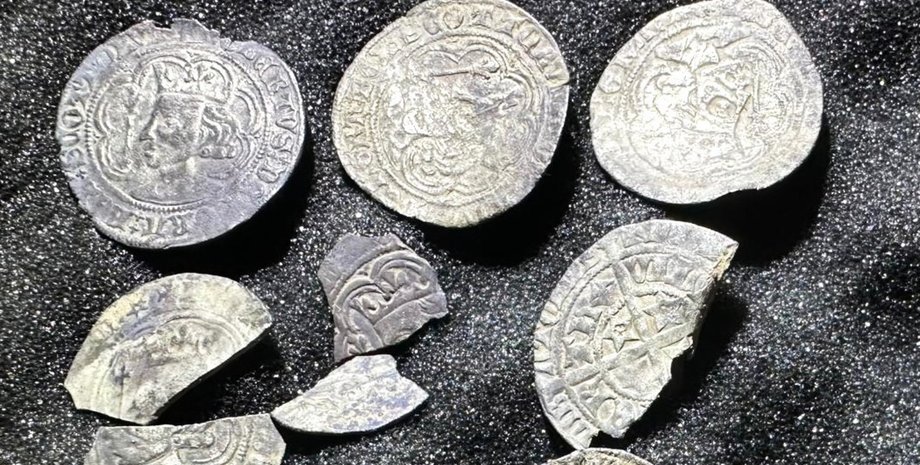 Мужчина нашел редкие монеты, серебряные монеты, редкая находка, мужчина нашел клад, 11 редких монет, ценные монеты, охотник за сокровищами