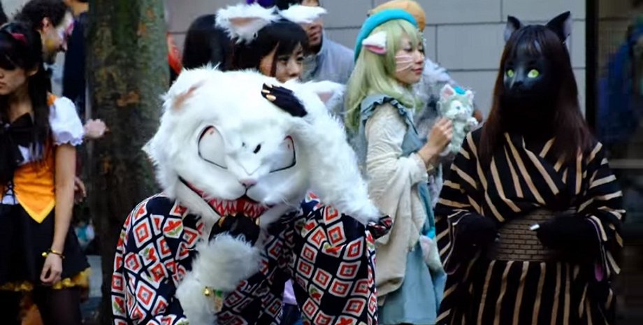 Фестиваль Кагурадзака Бакенеко / Фото: YouTube